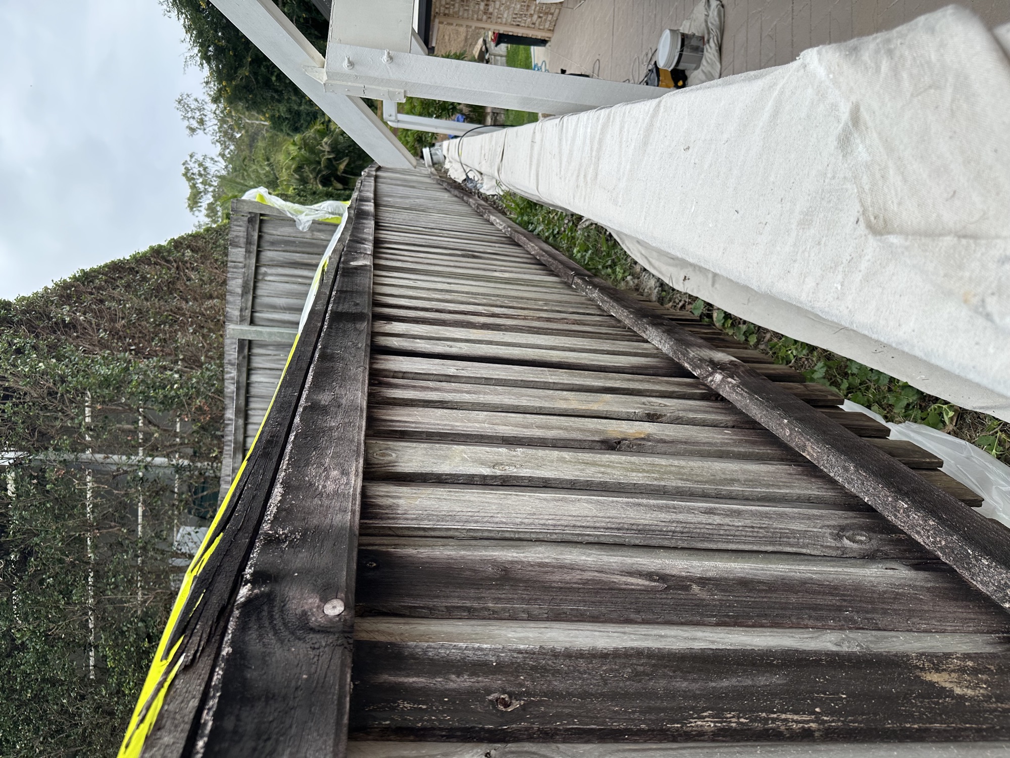 Fence and gate repaint photo